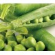 GUISANTES KILO