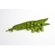 GUISANTES KILO