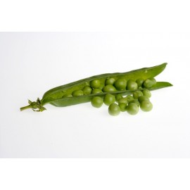 GUISANTES KILO