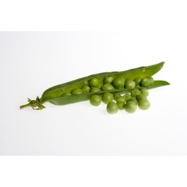 GUISANTES KILO