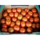 TOMATE DANIELA