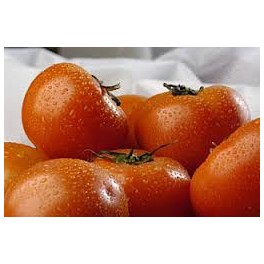 TOMATE DANIELA