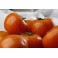 TOMATE DANIELA