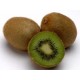 KIWIS La Fruteria