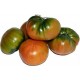 TOMATE ALICANTE RAF