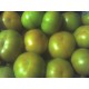 TOMATE
