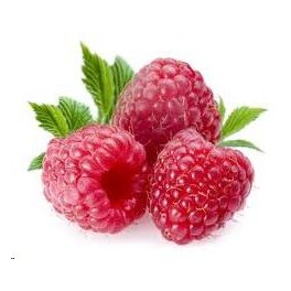 FRAMBUESAS