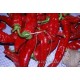 PIMIENTO SECAR