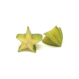 CARAMBOLA XL