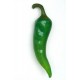 PIPARRA