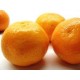 CLEMENTINAS VALENCIANAS 2 KILOS