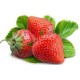 FRESA