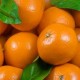 CLEMENTINAS