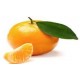CLEMENTINAS ORRI