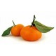 CLEMENTINAS ORRI