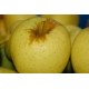 MANZANA AMARILLA