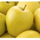 MANZANA L