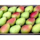 PERA ERCOLINA 0,500Gr