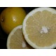 POMELO NATURAL