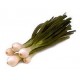 CEBOLLAS TIERNAS